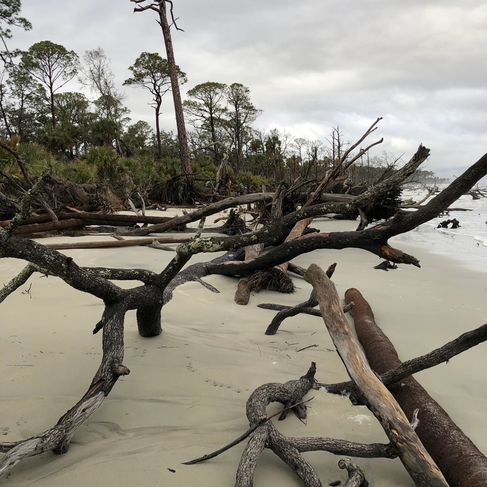 Meet your Posher, Giselle